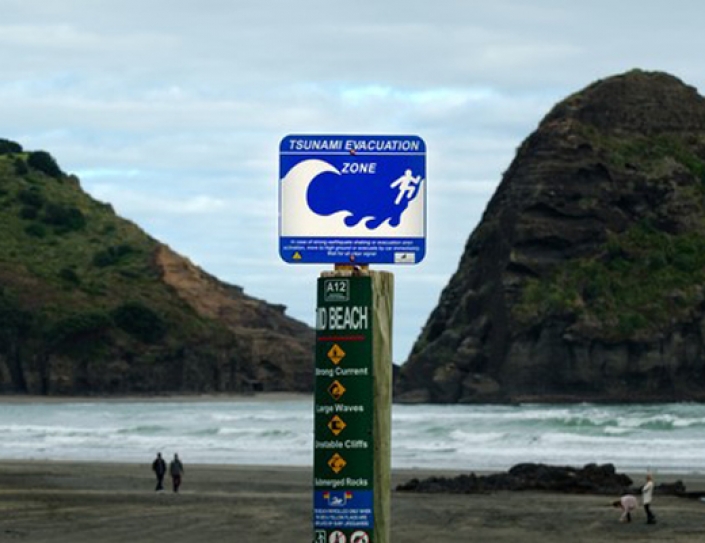 Getting disaster resilience right