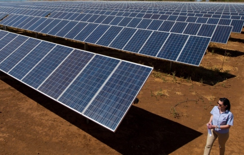 How market forces are winning the climate change battle