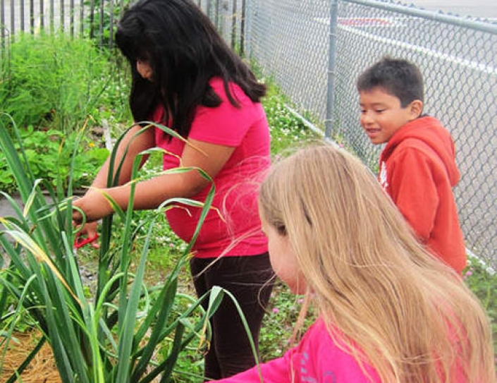 NEW RESOURCES HELP FOOD HUBS SUPPORT FARM TO SCHOOL PROGRAM
