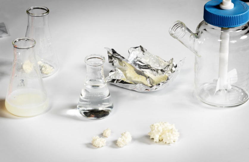 Cow Milk Without the Cow Is Coming to Change Food Forever