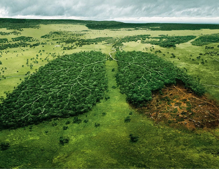 60 Powerful Social Issue Ads That’ll Make You Stop And Think