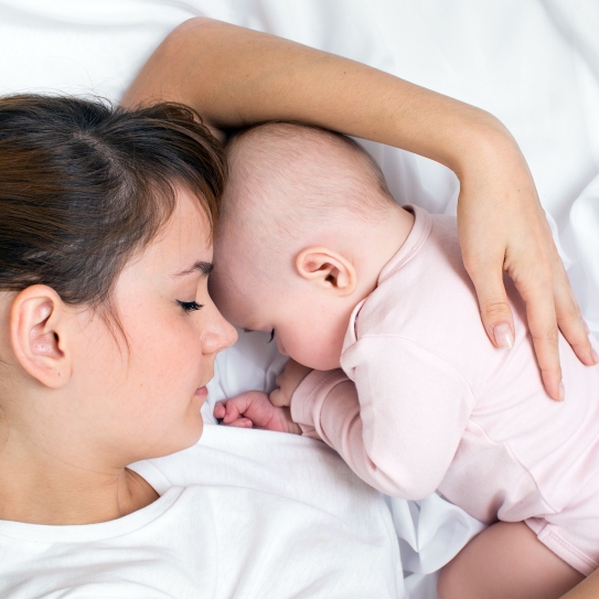 What Is Placenta?