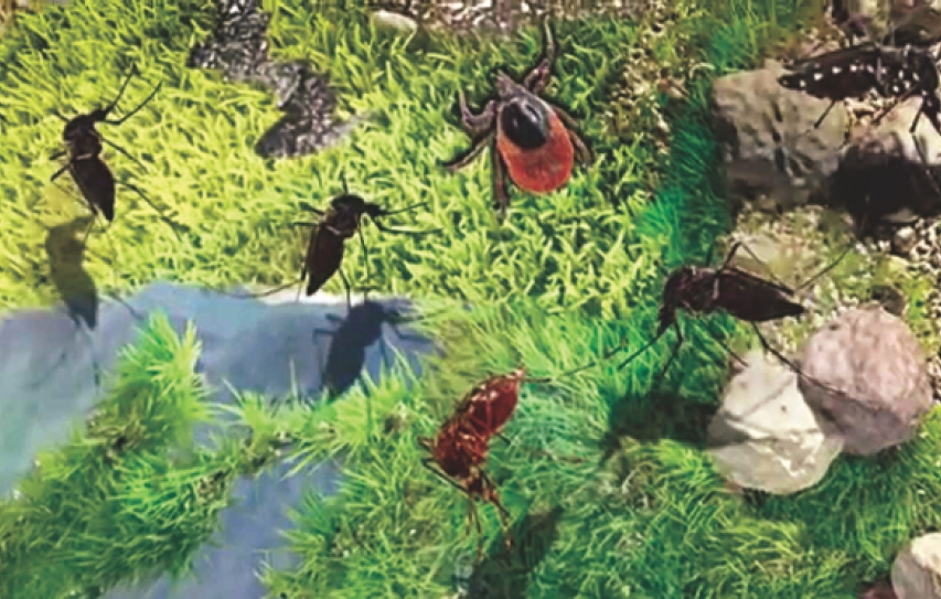 Political Apathy, Unplanned Urbanisation Make Vector-Borne Diseases Hard To Control in India