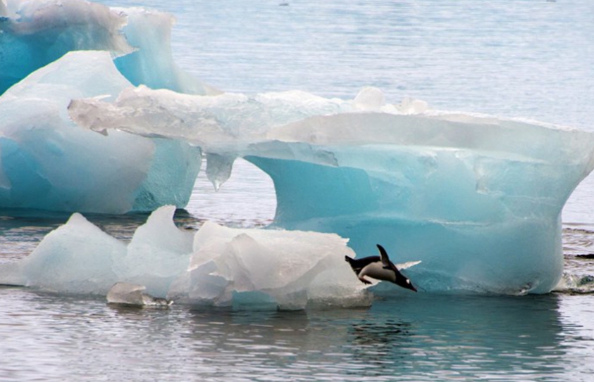 A 10,000-Year-Old Ice Shelf in Antarctica Is Disintegrating