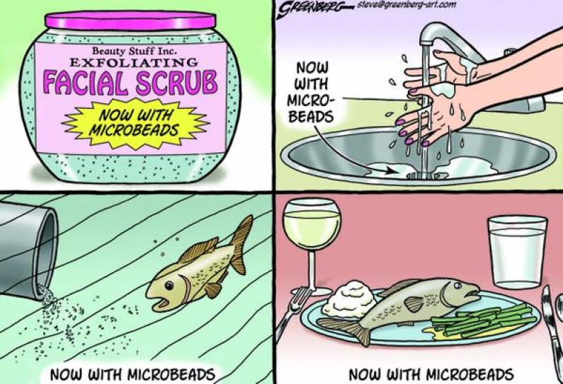 Microbeads Kill Animals And Destroy The Environment — So California May Ban Them