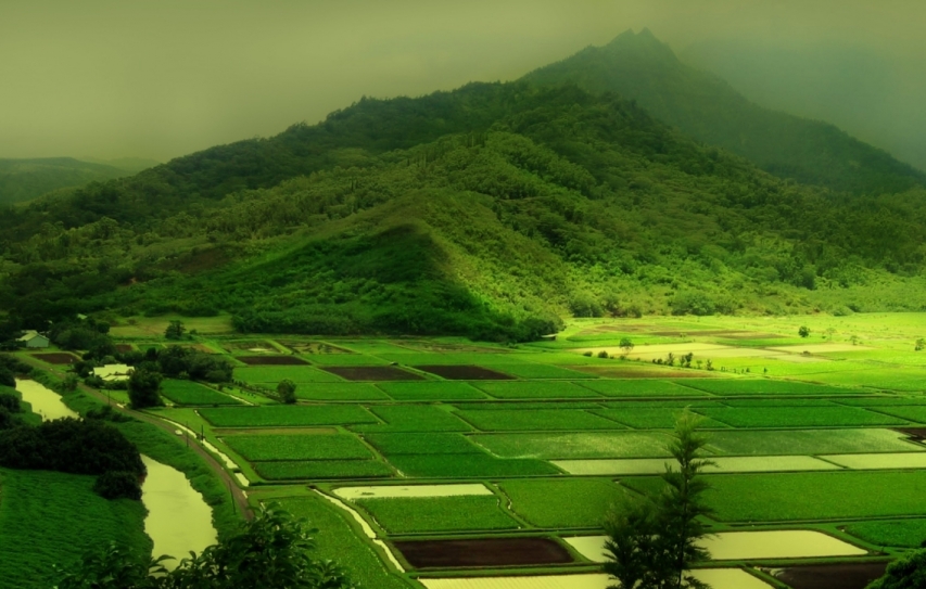 A Green Revolution, This Time for Africa