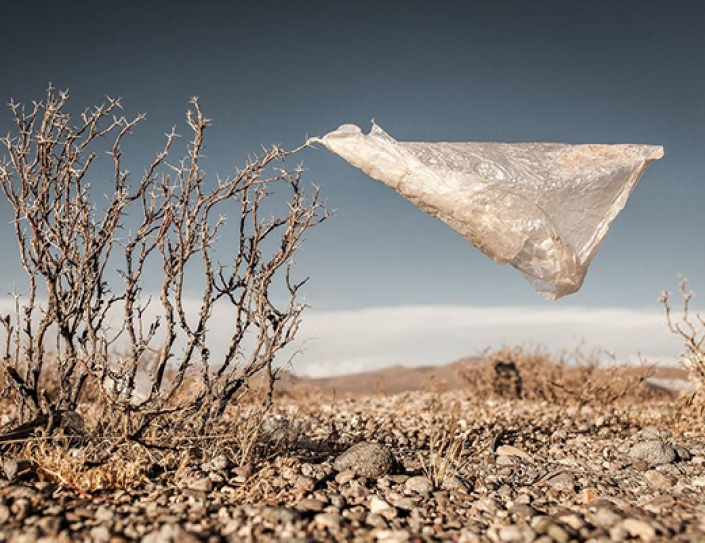 New Research Warns Of Catastrophic Food Shortages Due To Unchecked Climate Change