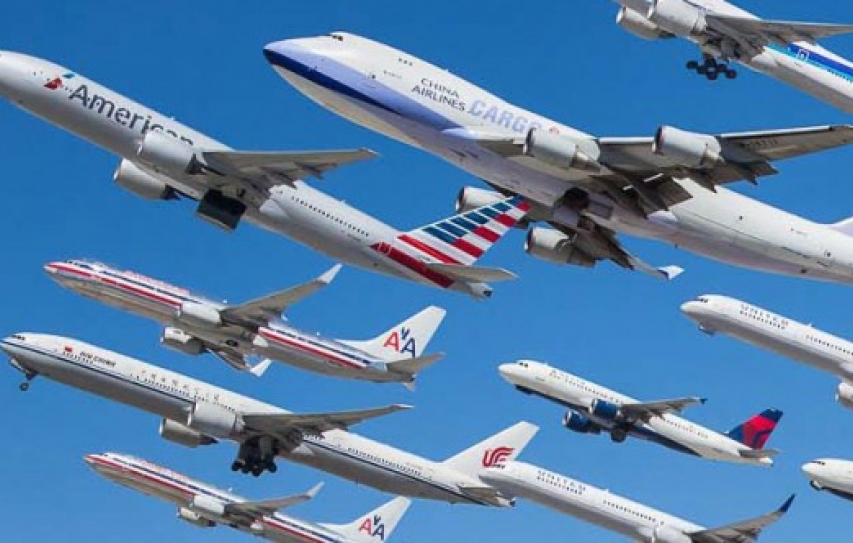 An Airliner Near-Catastrophe Offers Unique Neuroscience