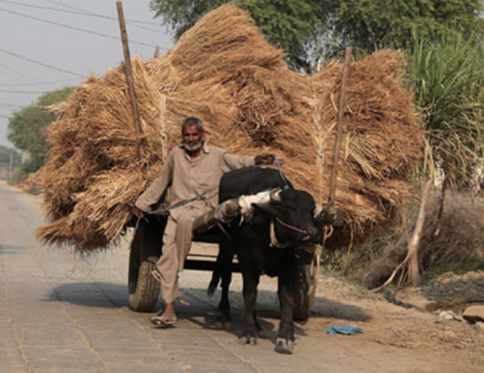 Countries Pitch In For Early Warning Systems And Accurate Weather Projections