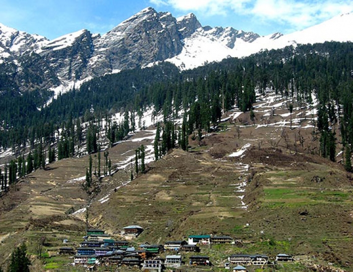Himachal Villages Claim Community Forest Rights For The First Time