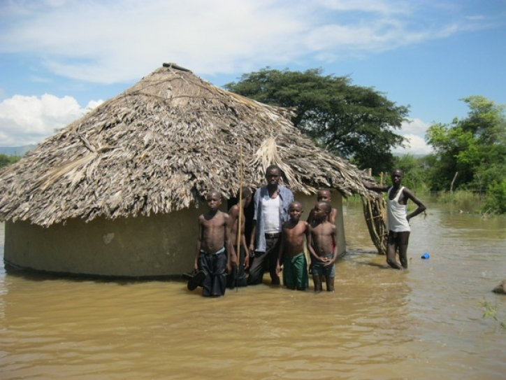 The Economic Options For Combatting Climate Change