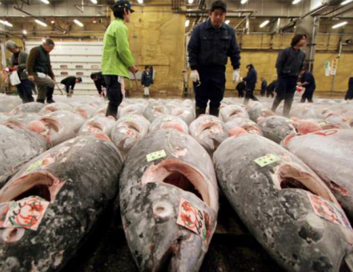 A Massive Amount Of Death Is Plaguing The World's Oceans