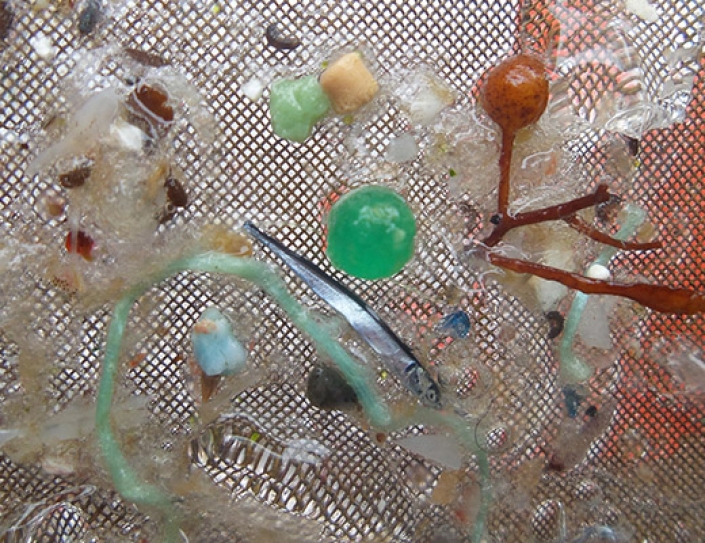 Scientists Want To See Microbeads Banned — And California Is Leading The Way