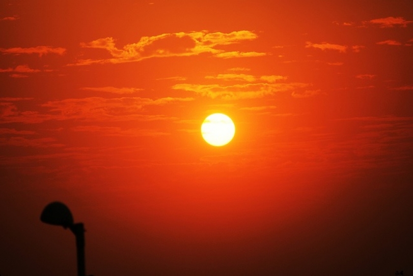 India Prone To Bector-Borne Diseases, Heatwaves, Say Experts