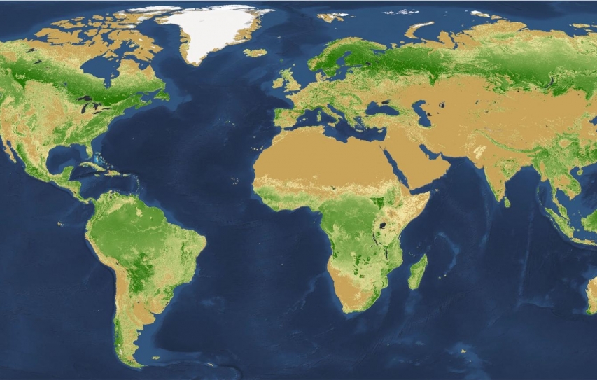It Turns Out Earth Has Seven Times as Many Trees as Previously Thought