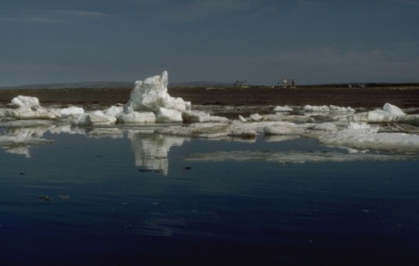 The Ten-Year Mission To Study All The Ways The Arctic Is Doomed