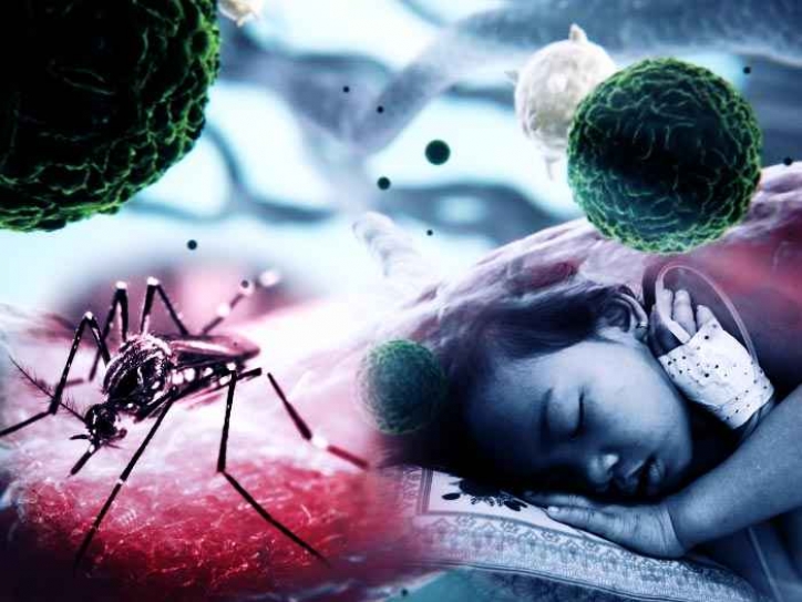 Why Dengue Is Not The Devil
