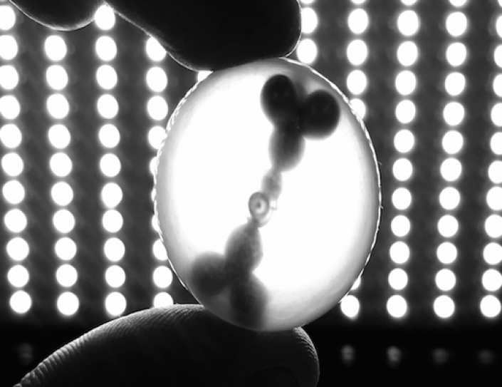 Inside MIT's Self-Replicating Objects