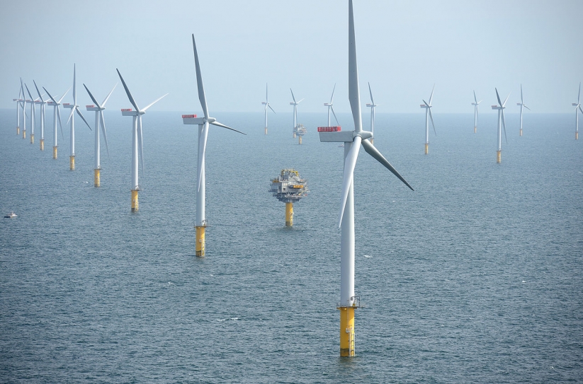 Virtual Fences Around Wind Farms Could Reduce Bird Deaths
