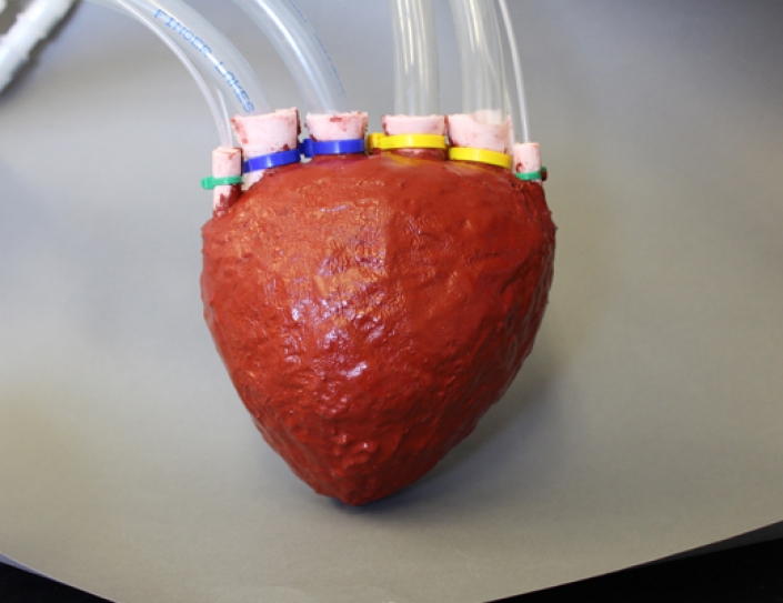 A New Supermaterial Lets This Artificial Heart Pump Like The Real Thing