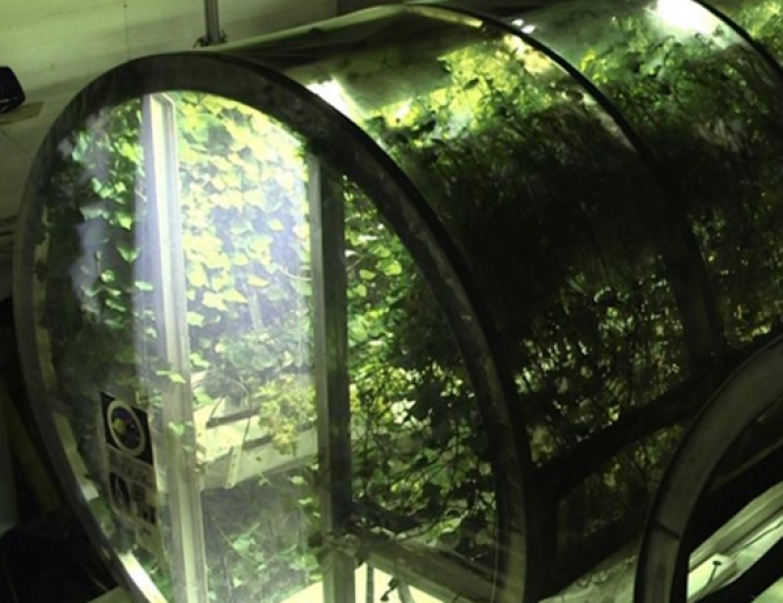 Scientists Have Already Built a Prototype Greenhouse for Mars