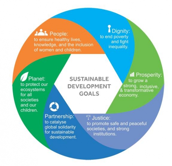 India Can Guide Africa In Capacity Building For Achieving Sustainable Development Goals 
