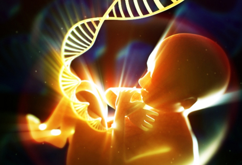 Philips To Deploy MOM & Mobility Sanjeevini On Pilot Basis In India To Stall Maternal-Foetal Fatalities