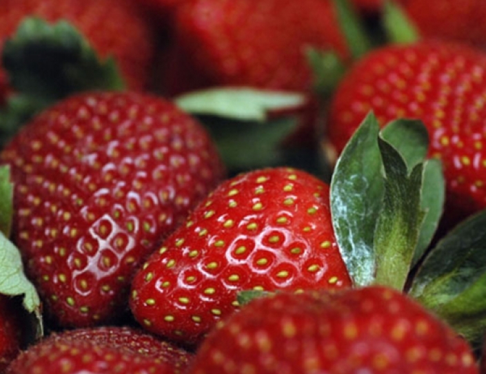 As Weather Shifts, Strawberries Leave Sour Taste In Northeast India