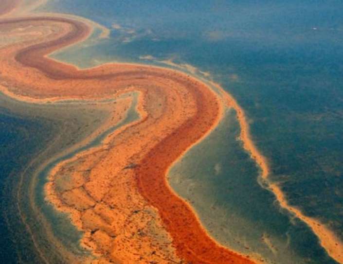 The Dispersants Used After The BP Blowout Did More Harm Than Good