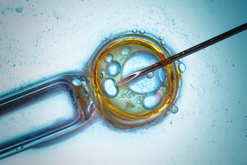 Probiotics May Be The New Vaccines
