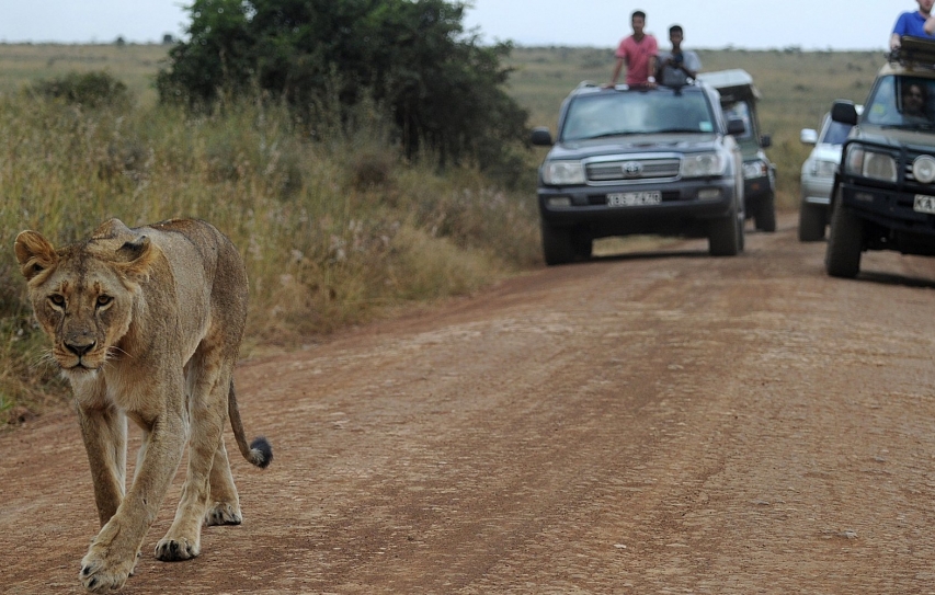 The Top 6 Good-News Stories of 2015
