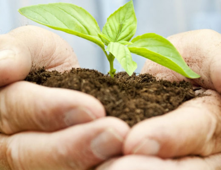 Sustainable Celebrations: Improving The Environment And Communities