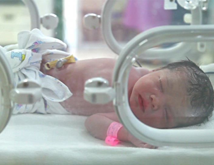 The Human Incubator