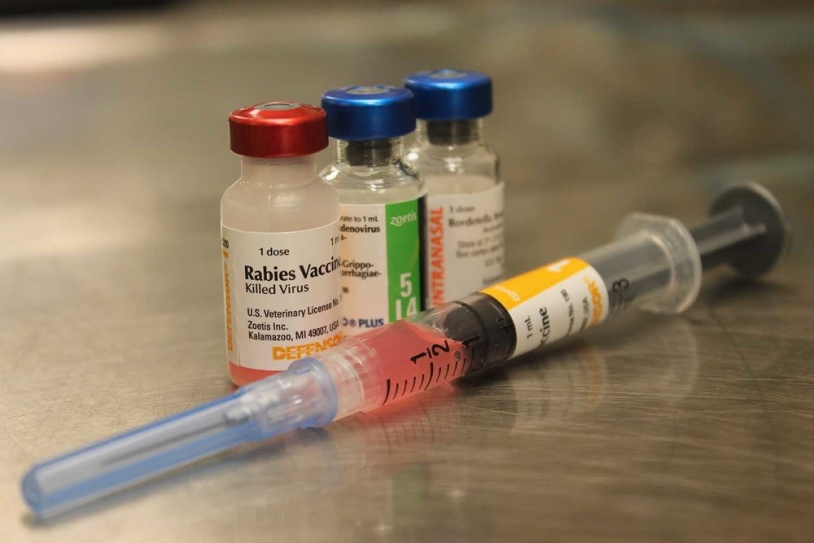 Affordable Vaccines To Check Infections Need Of The Hour