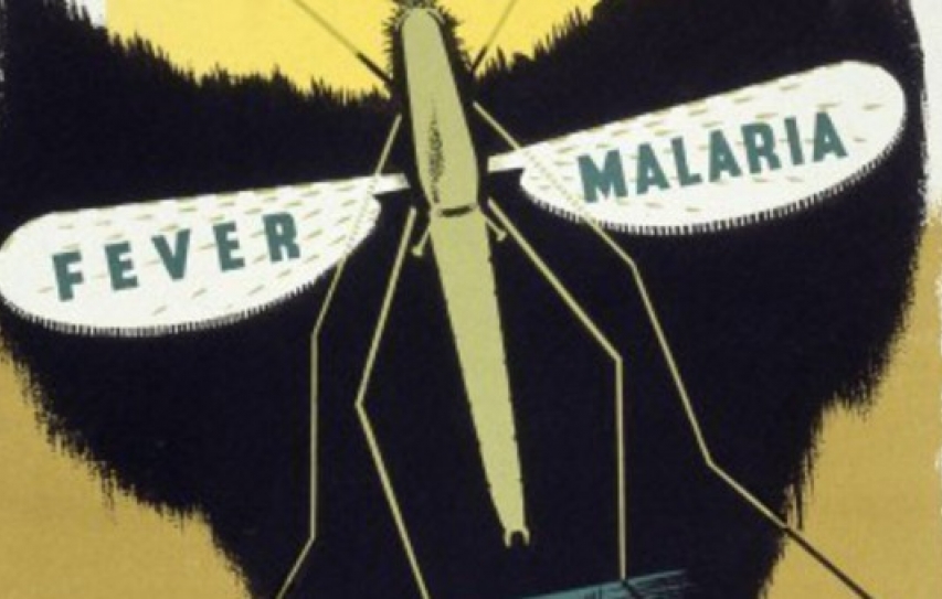 New Report Signals Country Progress In The Path To Malaria Elimination