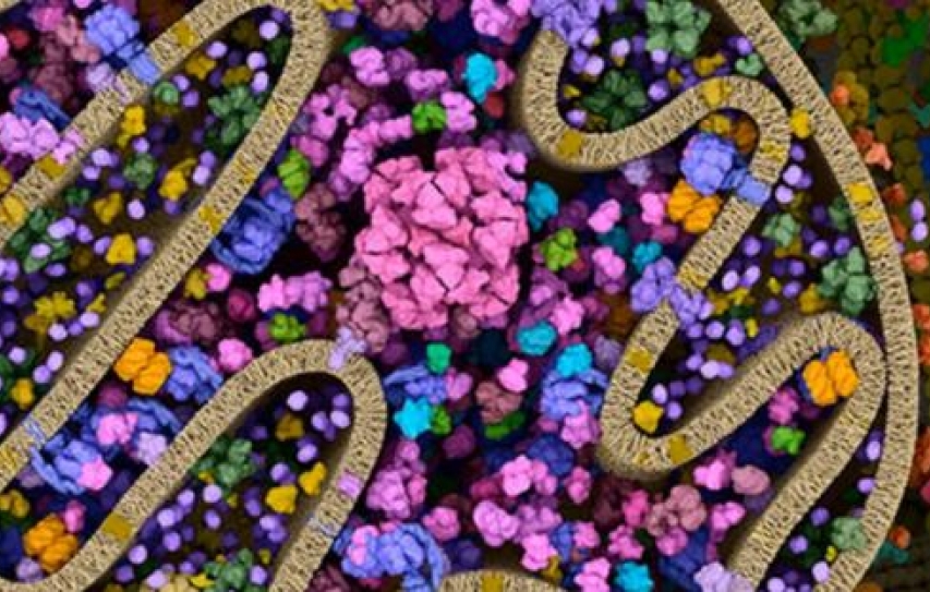 Engineers Combine Biological Energy-Harvesting With Electronic Circuits