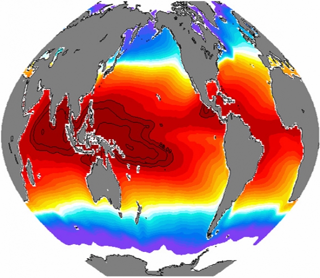 Here's The Most Detailed Picture Yet Of How Much The World's Oceans Are Warming
