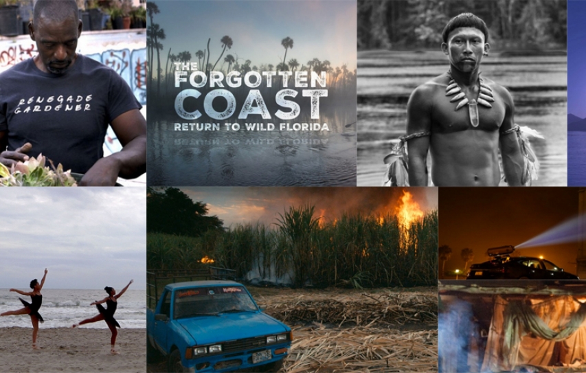 18th Annual Environmental Film Festival Returns To Eckerd