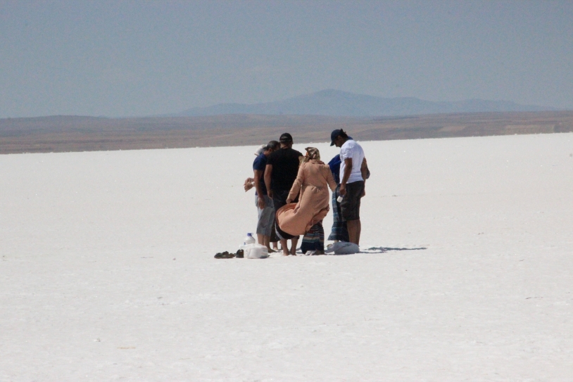 Apathy And Progress Are Killing Turkey's Famous Flamingo Lake