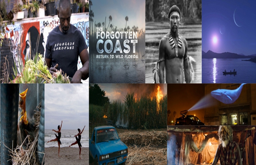 18th Annual Environmental Film Festival Returns To Eckerd