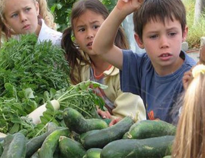 From Davos: This Idea Could Transform Global Food Systems