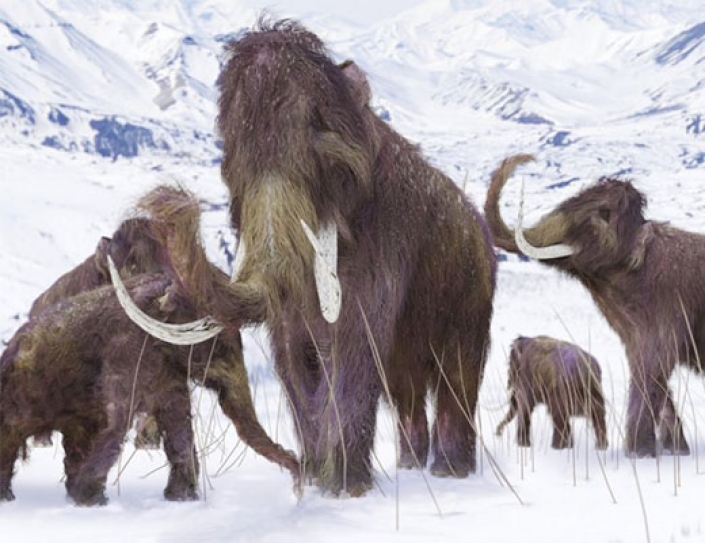 Humans Were Living In The Arctic 15,000 Years Earlier Than We Thought