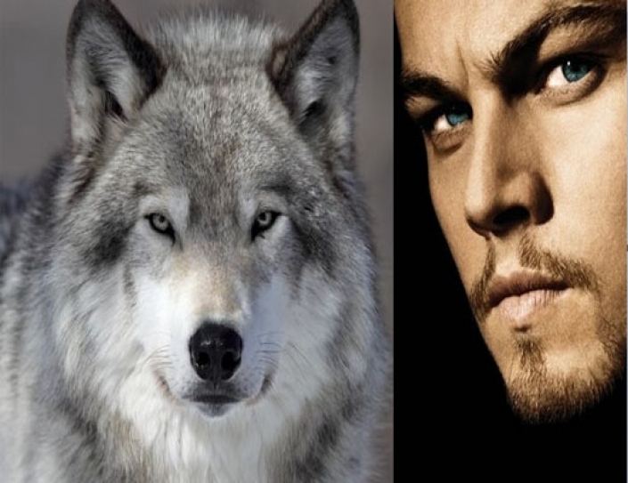 Leonardo DiCaprio's Foundation Donates $40 Million To Conservation Efforts