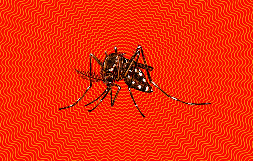 The Zika Declaration
