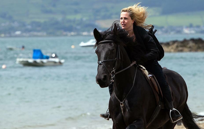 Gillian Anderson Urges NYC Council To Keep Horses Safe