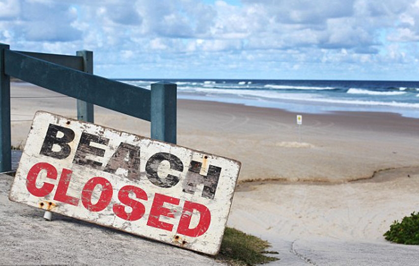 Warm Ocean Temperatures Helped Make 2015 A Record Year For Shark Attacks
