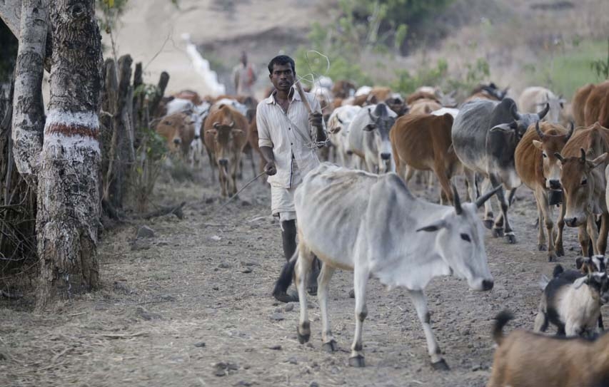 Rural Households Have Higher Debt Than Urban Counterparts: NSSO Report