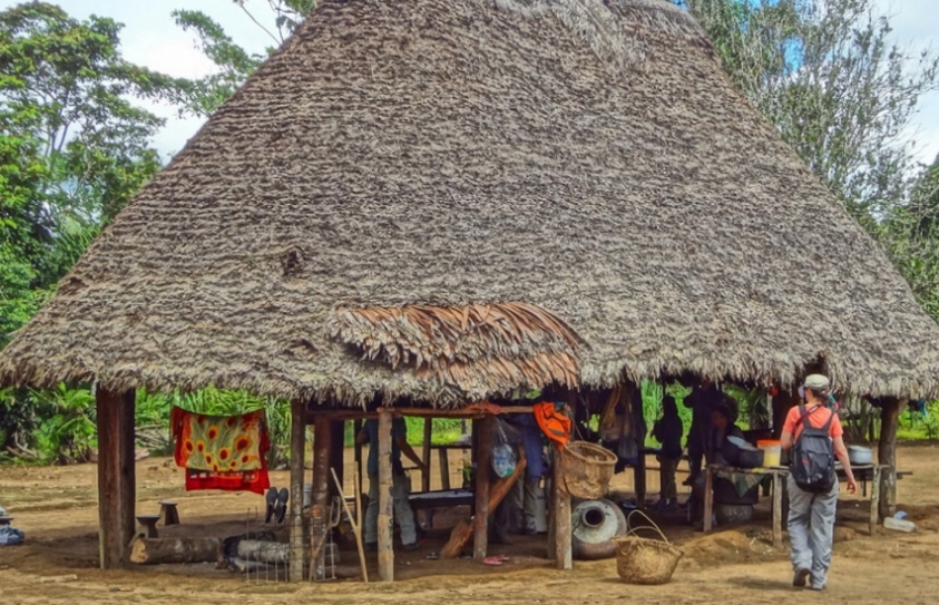 The Hidden Health Consequences Of How We Design Our Homes