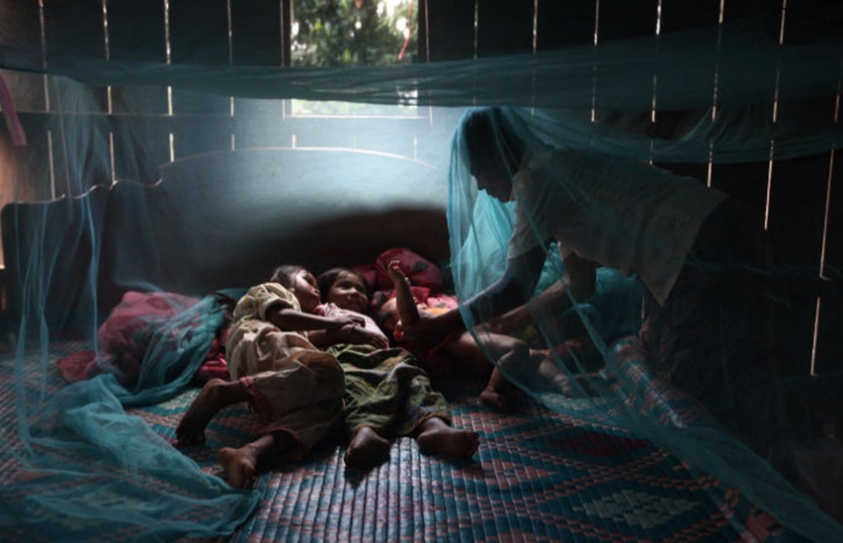 Here's Why It's A Very Bad Idea To Wipe Mosquitoes Off The Face Of The Earth