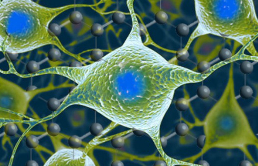 New Material Lifts Technology From Desert Beetle, Harvests Water From Air